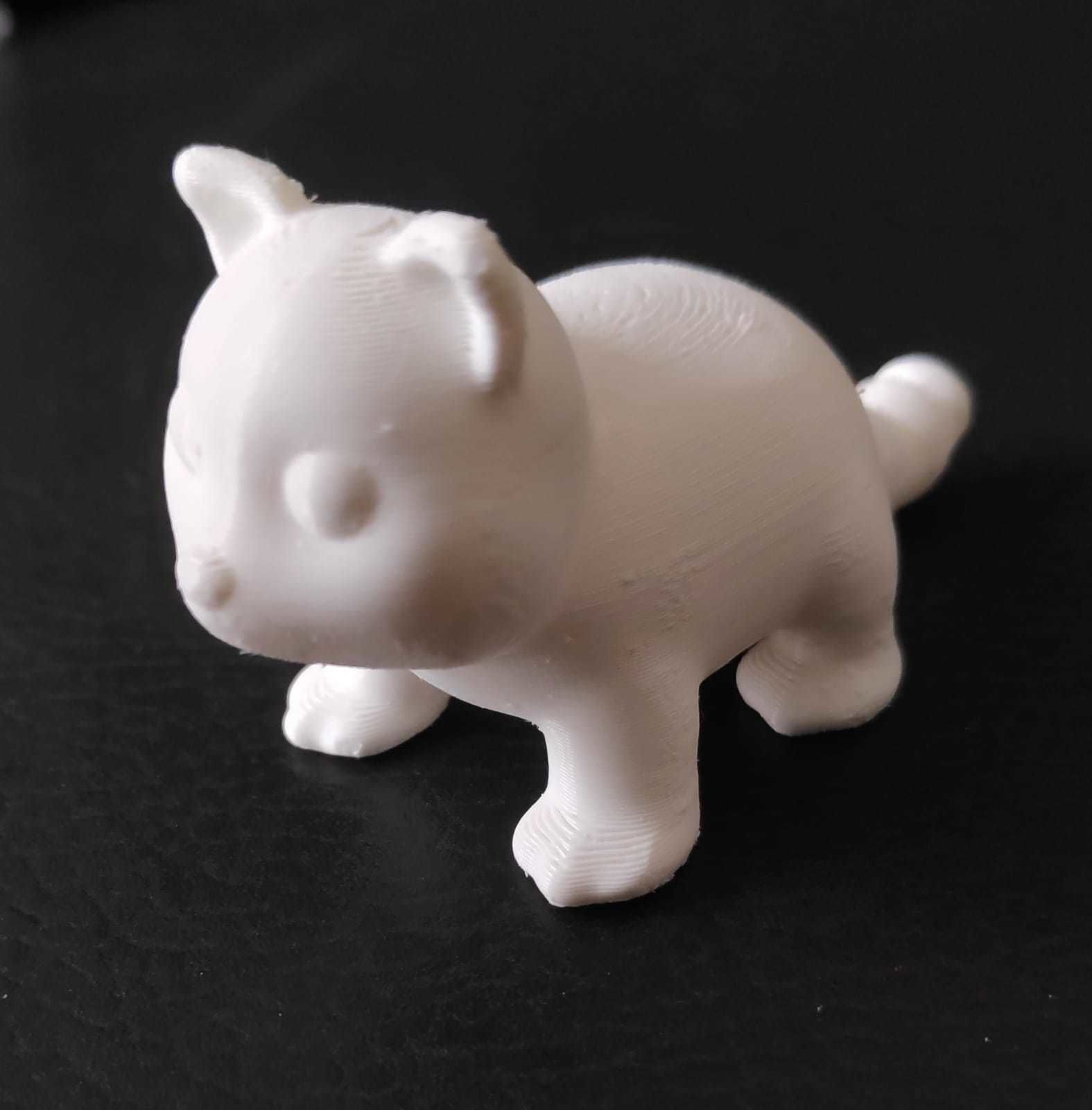 Coati 3D print model_6