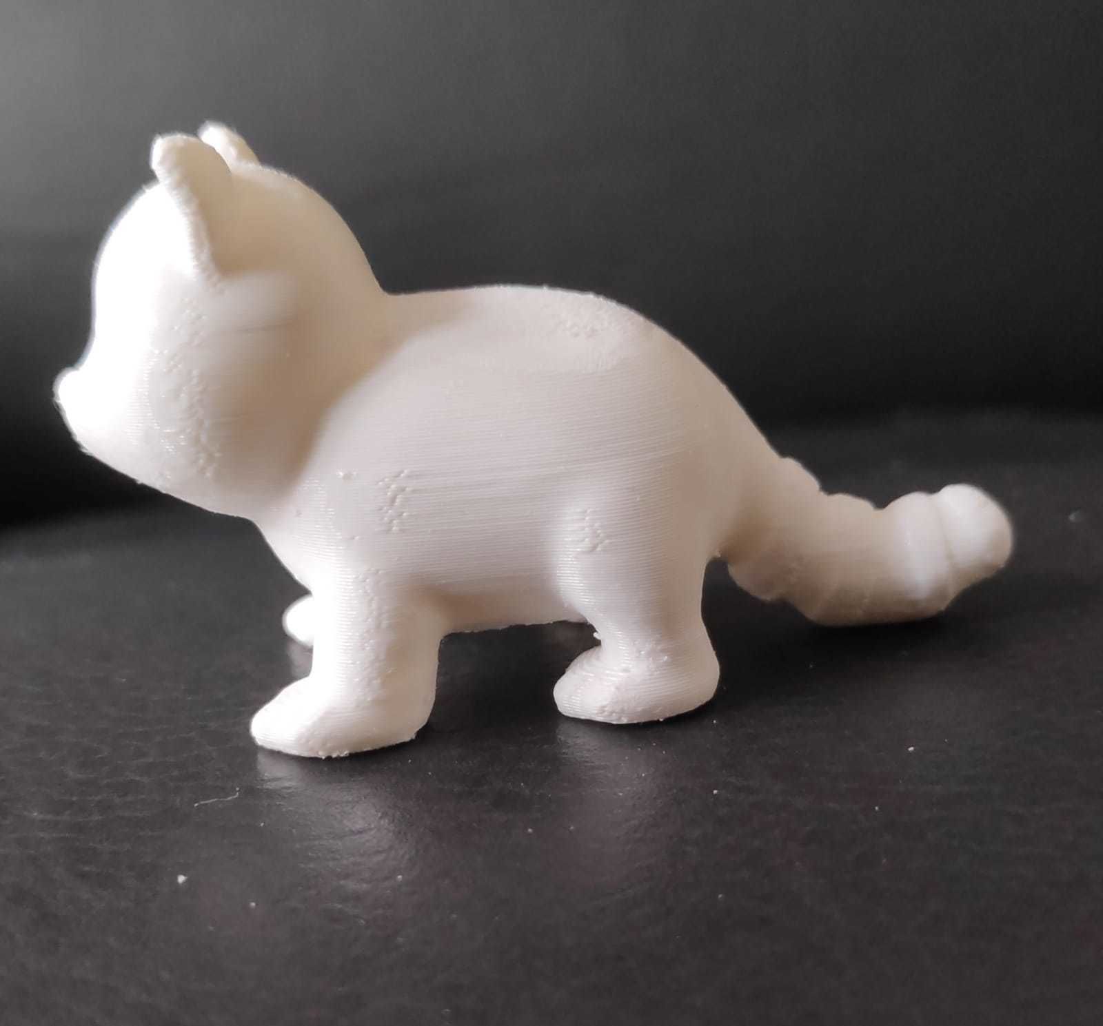 Coati 3D print model_7