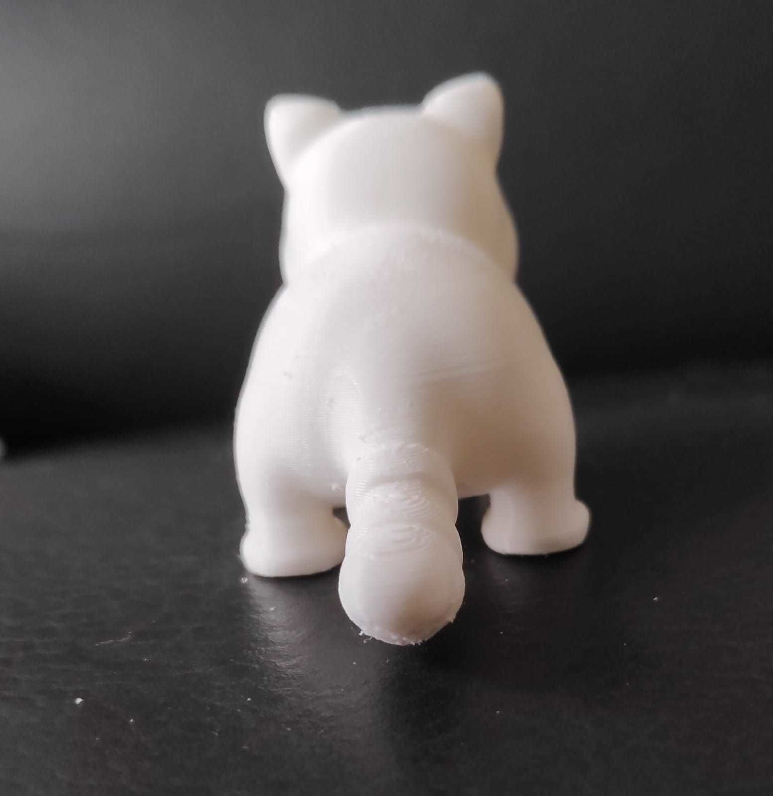 Coati 3D print model_10