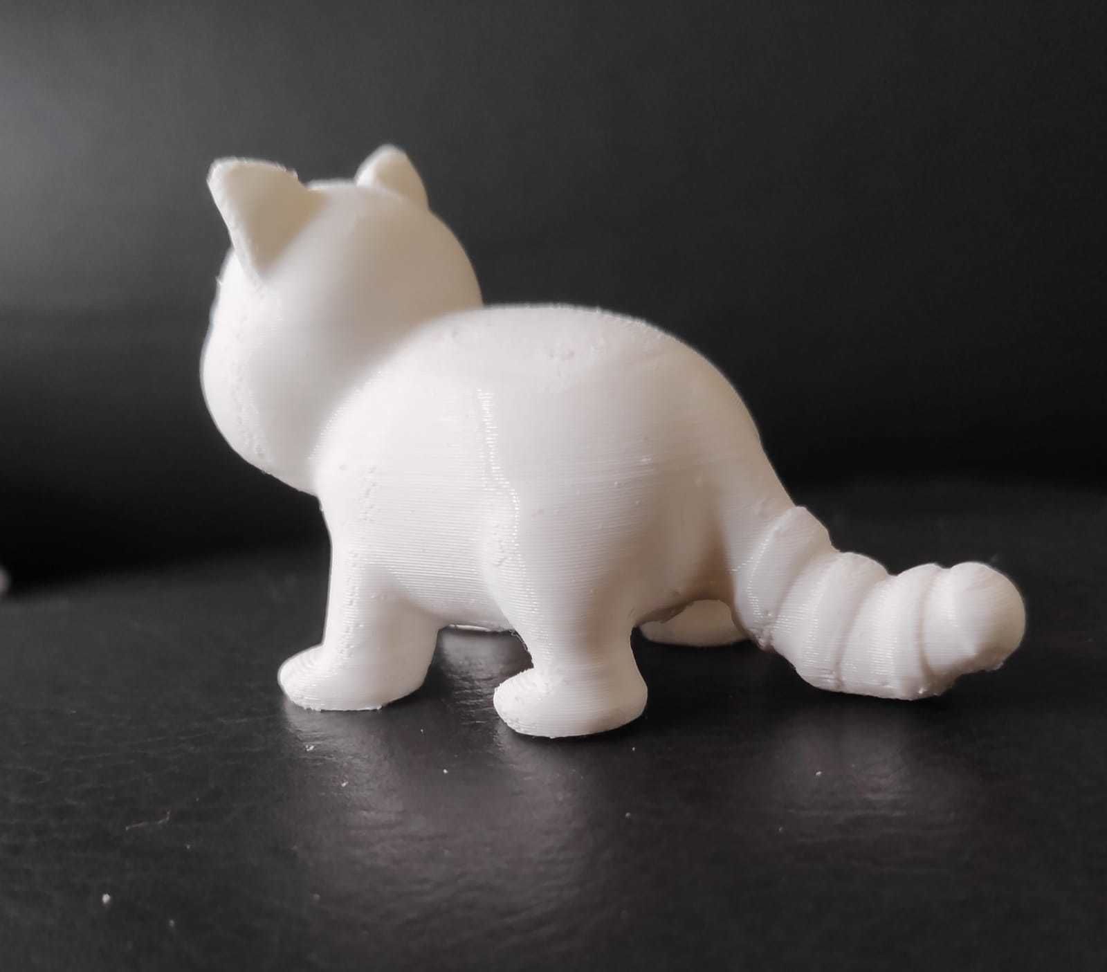 Coati 3D print model_8