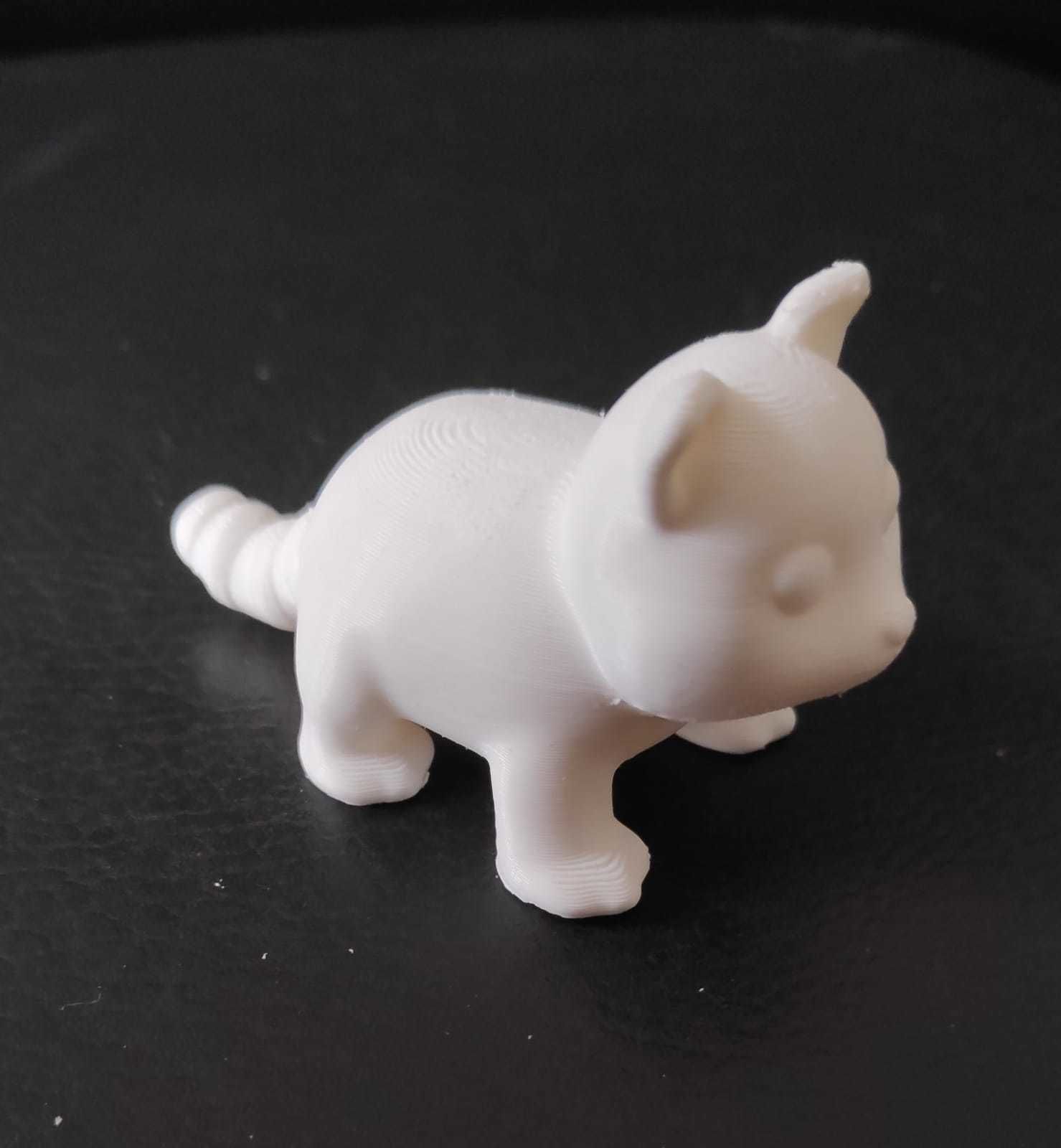 Coati 3D print model_12