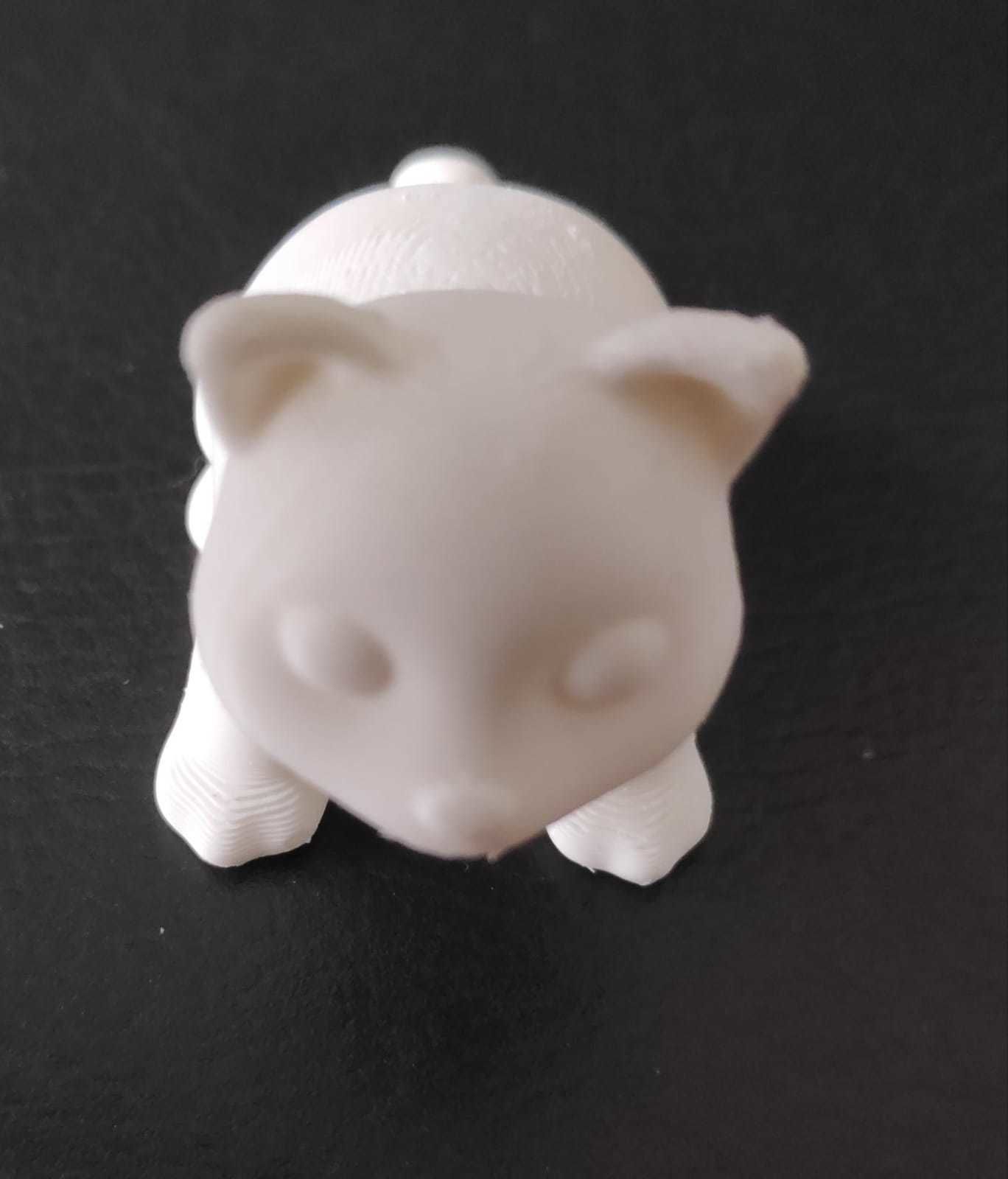 Coati 3D print model_16