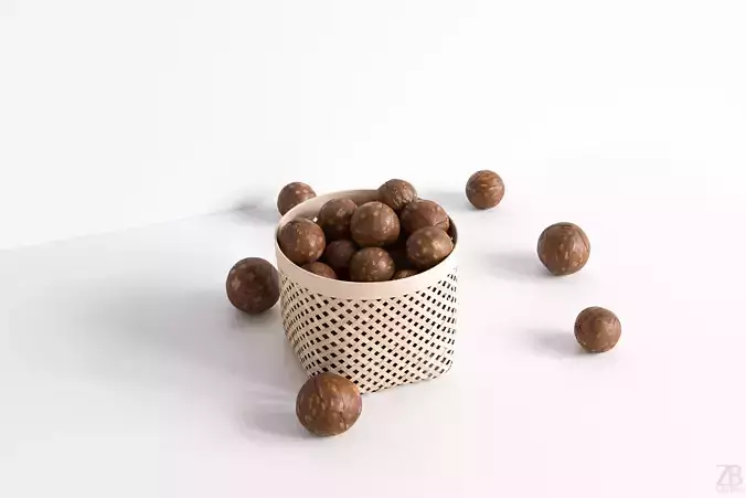 Macadamia 3D model