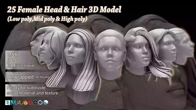 25 Female Head and Hair 3D Model Basemesh