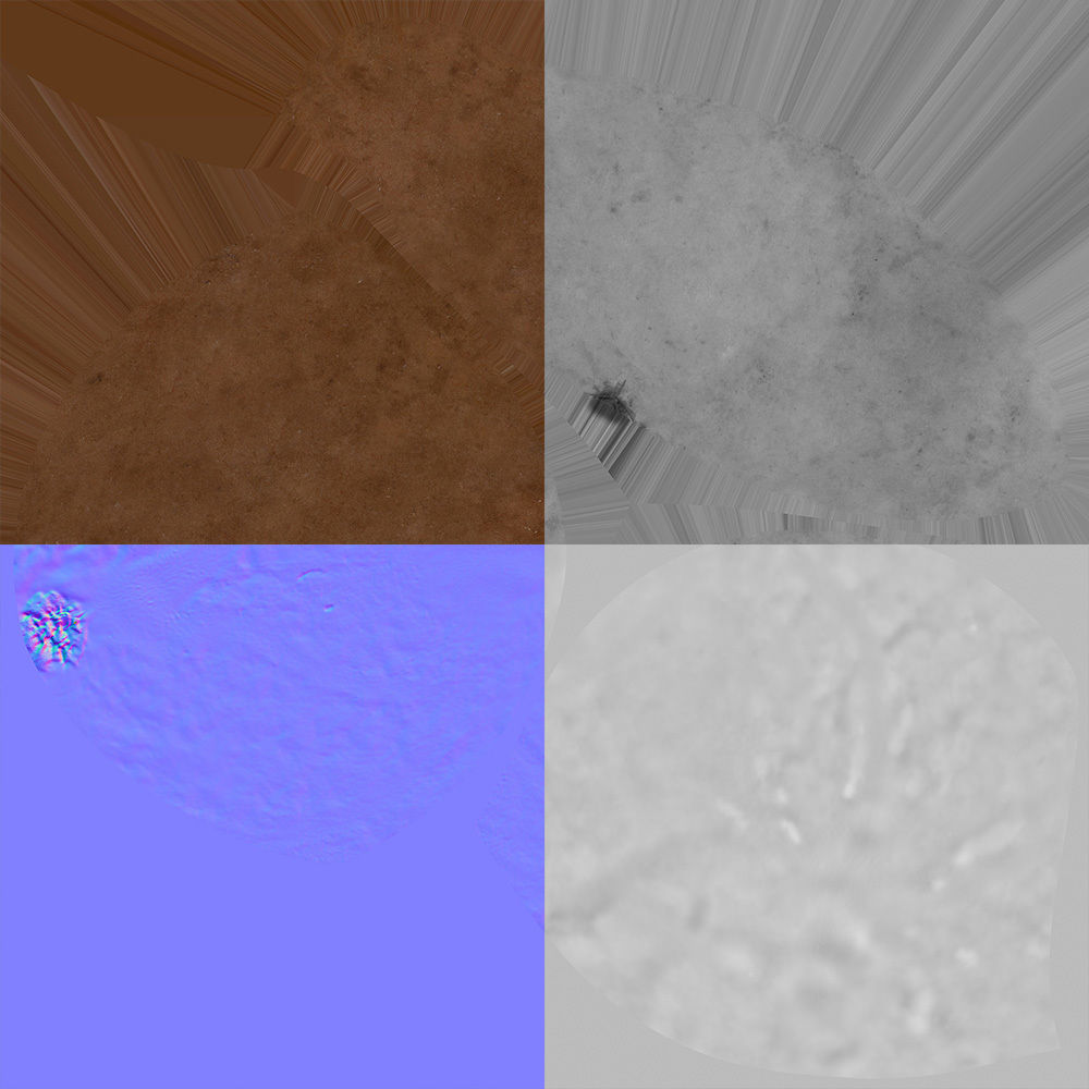 Macadamia 3D model_8