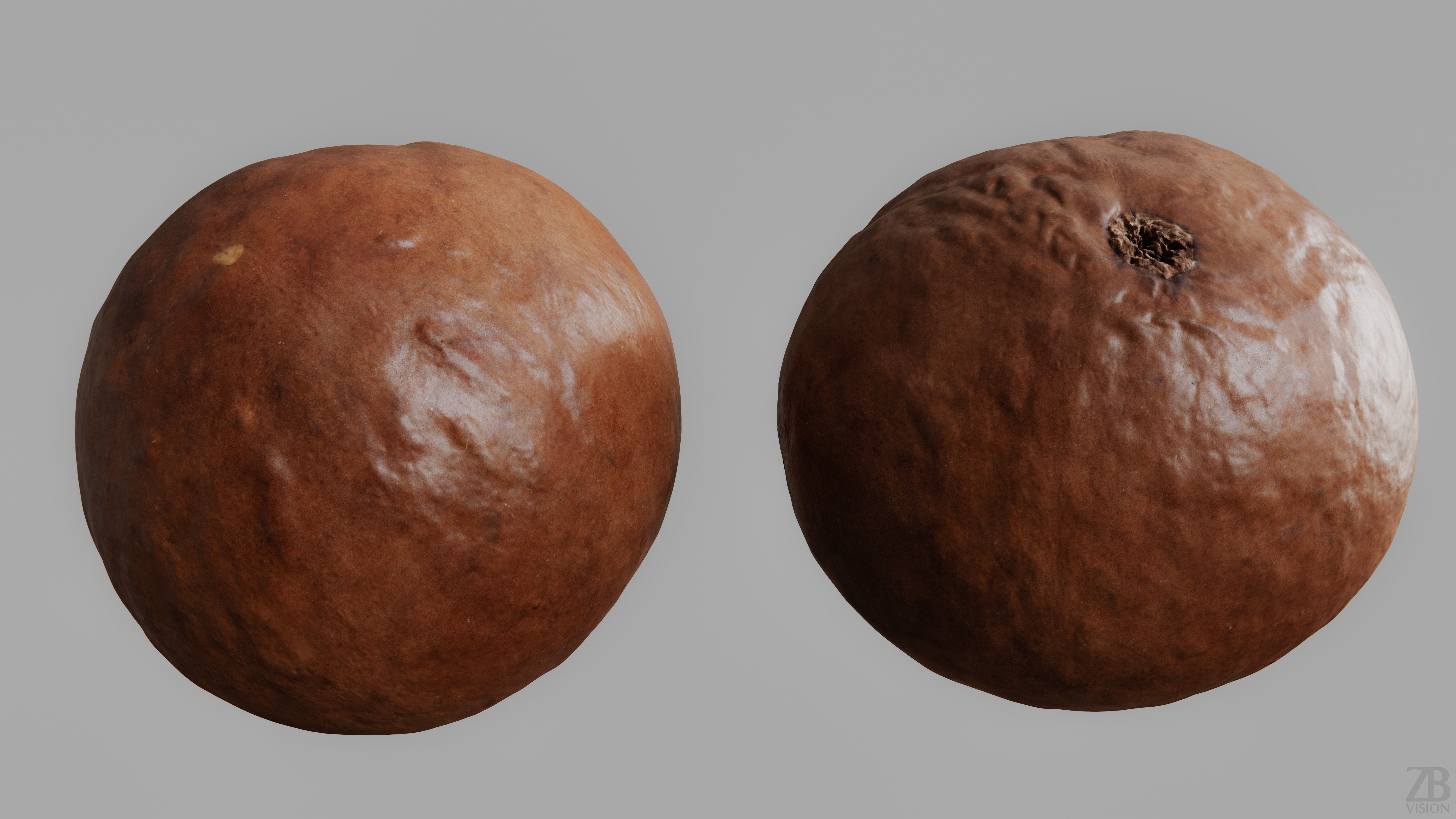 Macadamia 3D model_9