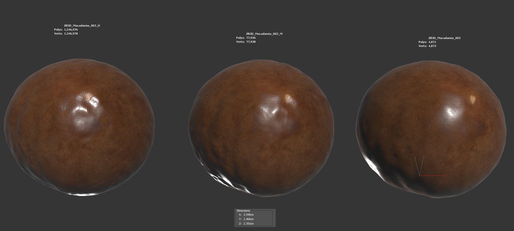 Macadamia 3D model_5