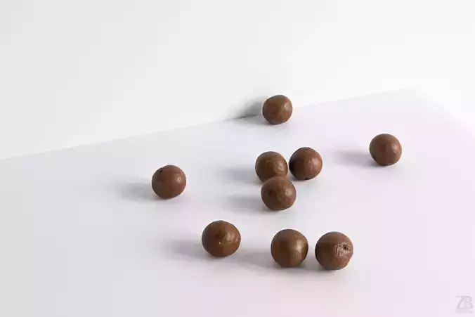 Macadamia 3D model