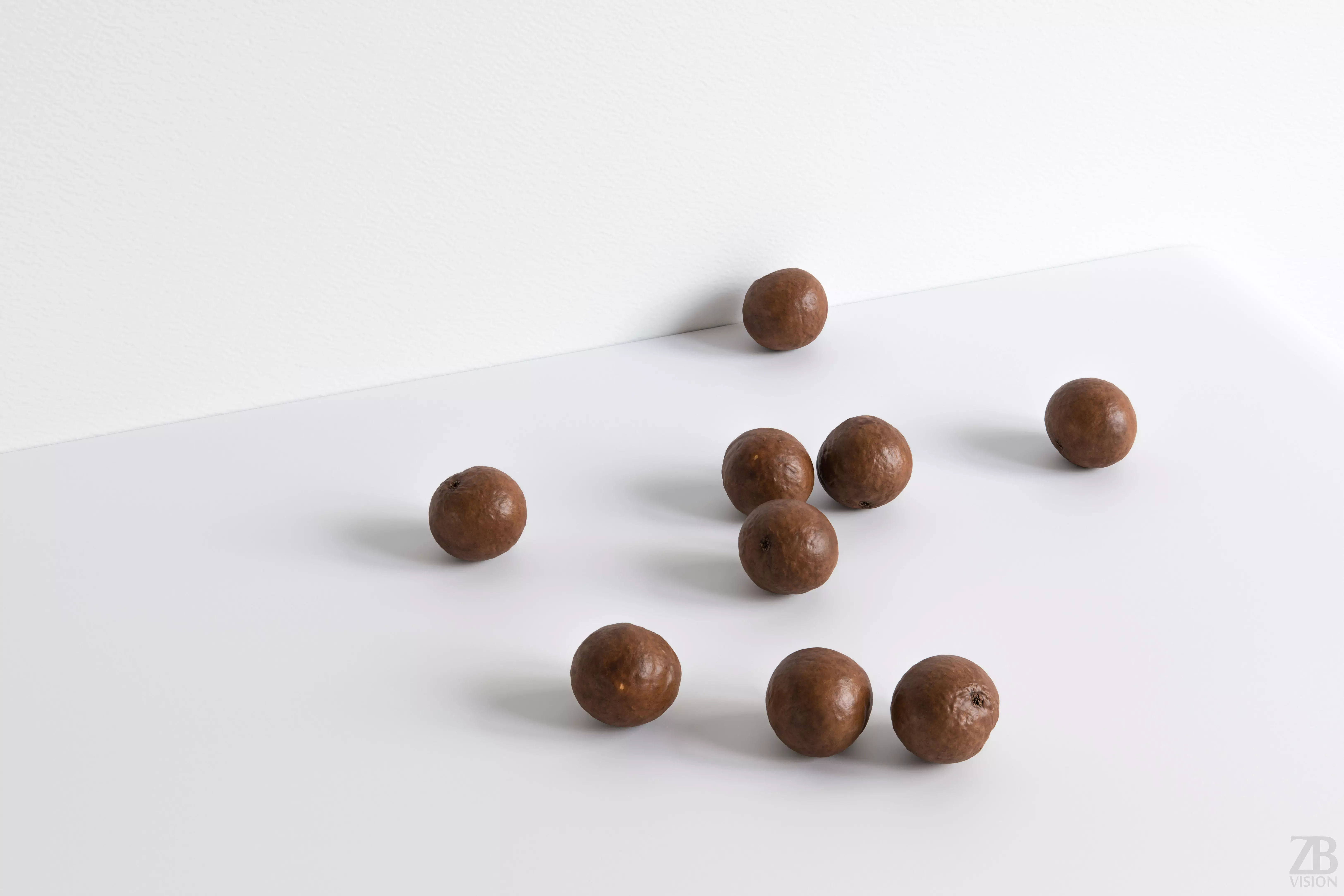 Macadamia 3D model_0