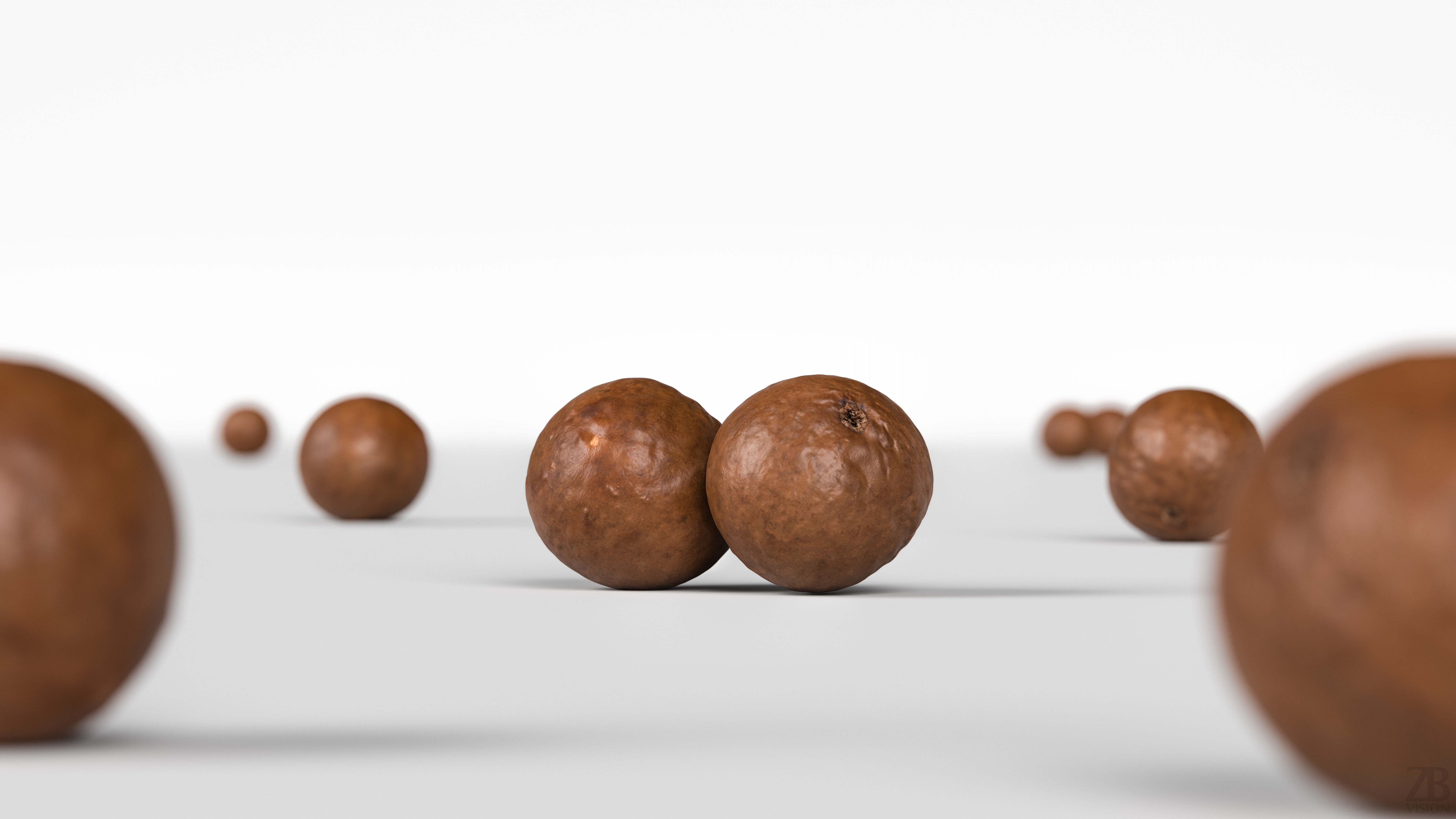Macadamia 3D model_1