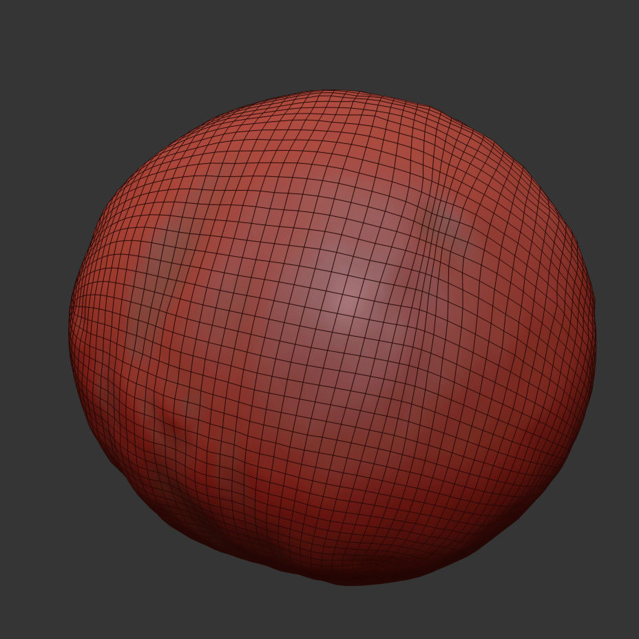 Macadamia 3D model_6