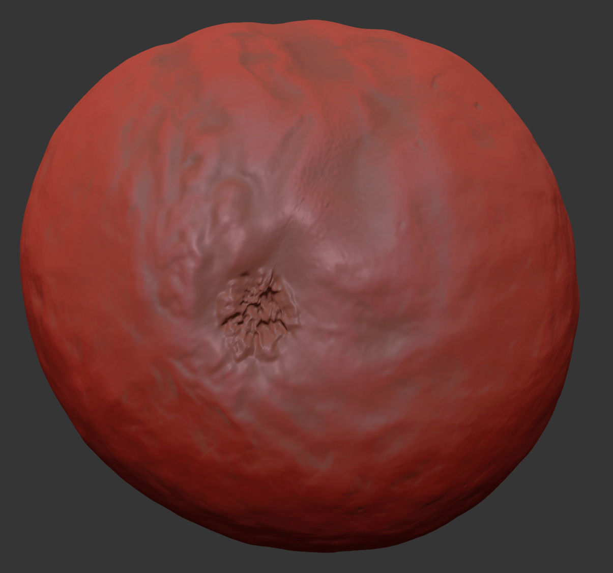 Macadamia 3D model_7