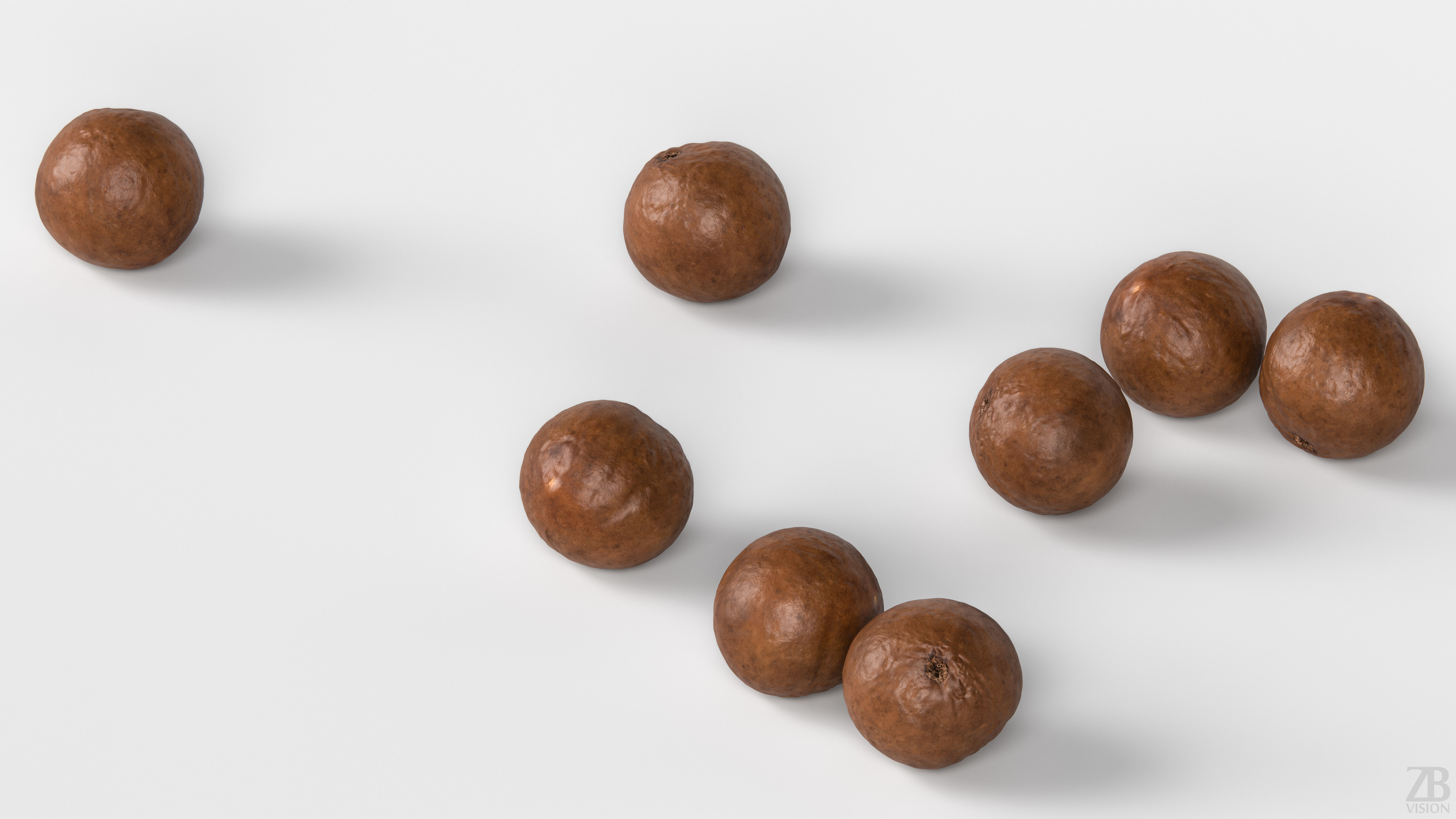 Macadamia 3D model_2