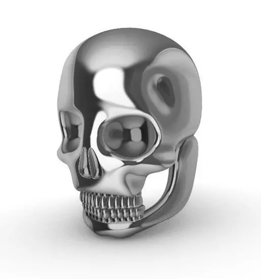 Cranio Humano 3D print model