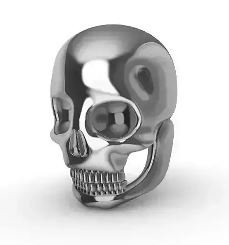 Cranio Humano 3D print model