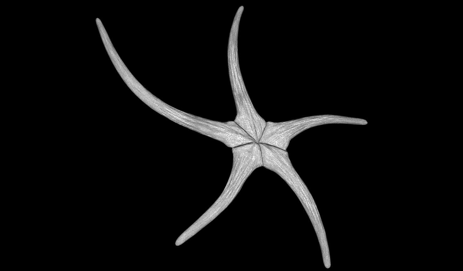 3D PRINTABLE PREDATOR ARCHAIC ACCESSORY PACK WEAPONS 3D print model_34