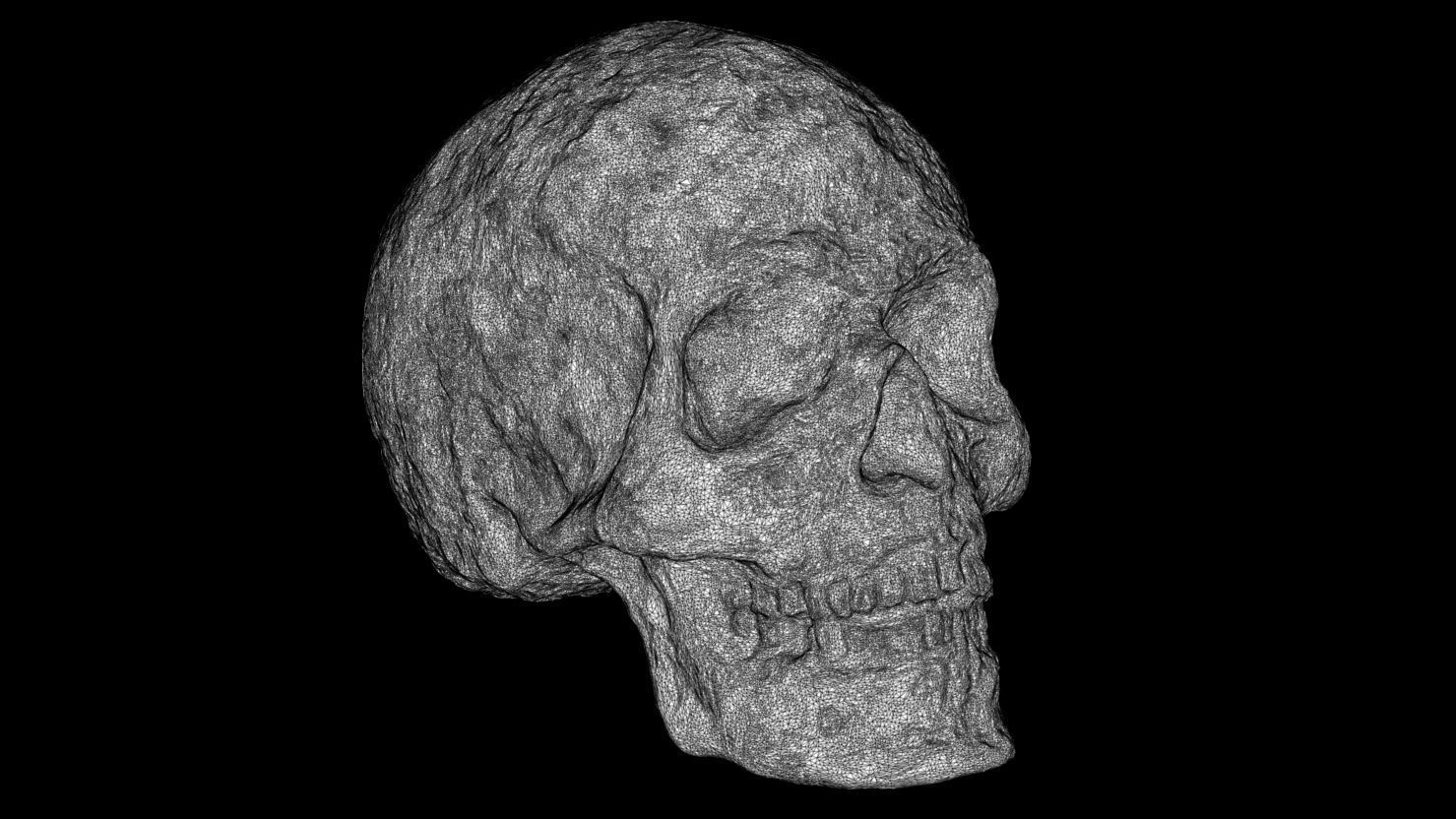 3D PRINTABLE PREDATOR ARCHAIC ACCESSORY PACK WEAPONS 3D print model_19