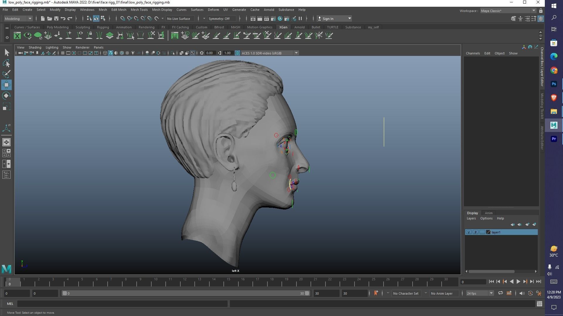 Human Face Rigg free 3D model rigged | CGTrader