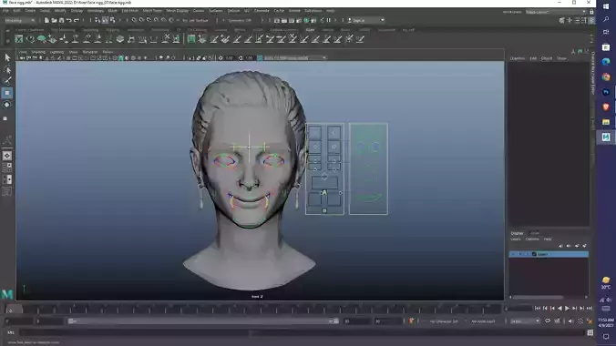Human Face Rigg  Free 3D model