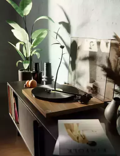 Turntable Planar One by REGA