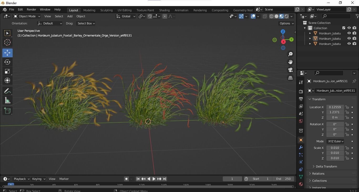 Hordeum Jubatum Foxtail Barley Ornementale Orge Version03 Windy 3D model_5