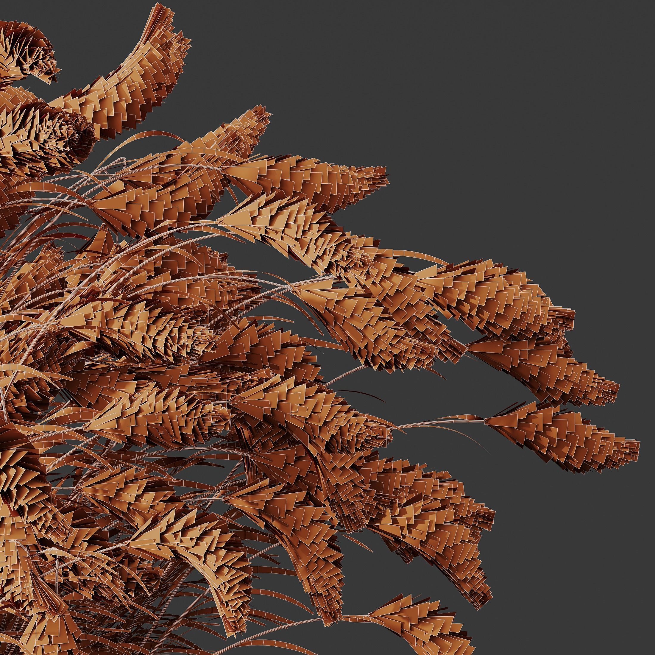 Hordeum Jubatum Foxtail Barley Ornementale Orge Version03 Windy 3D model_4