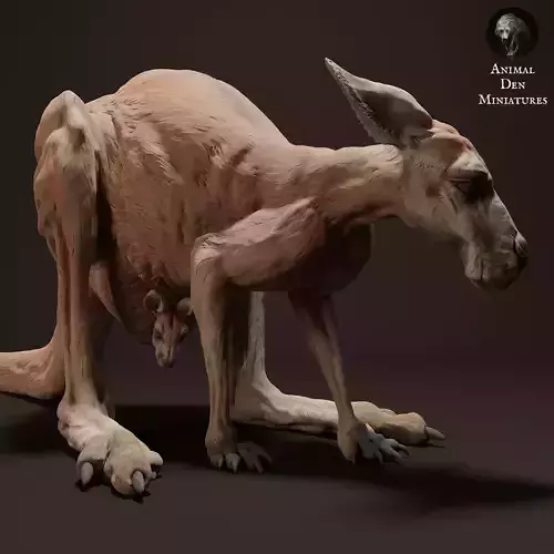 Red Kangaroo Jill and Joey 3D print model