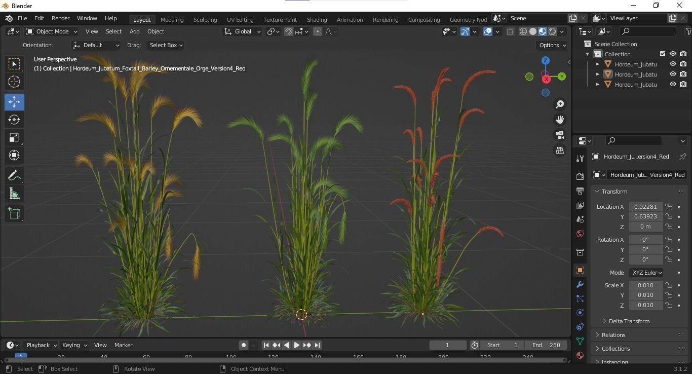 Plants Hordeum Jubatum Foxtail Barley Ornementale Orge Version04 3D model_6