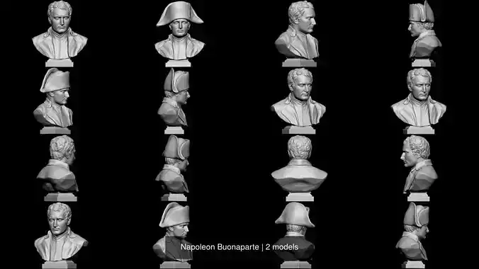 Napoleon Buonaparte 3D Model Collection