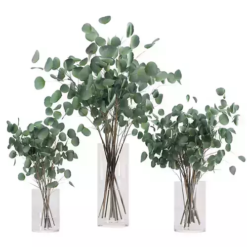 Eucalyptus Bouquet Set1