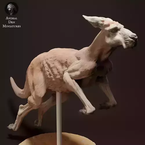 Red Kangaroo Jack Jump 3D print model