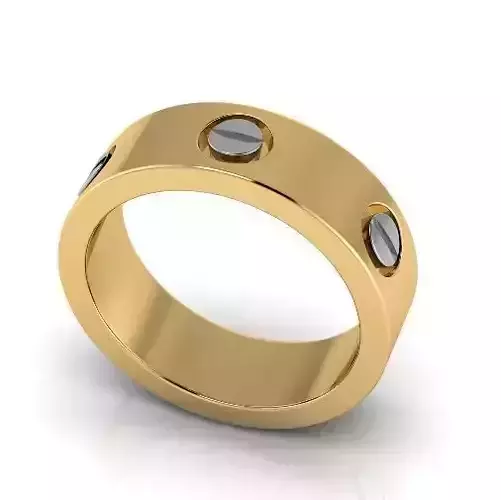 Bolt ring Model 3319