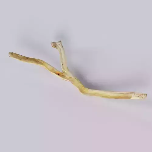 Wooden Stick - Single 3d Dry Low Poly and Game Ready