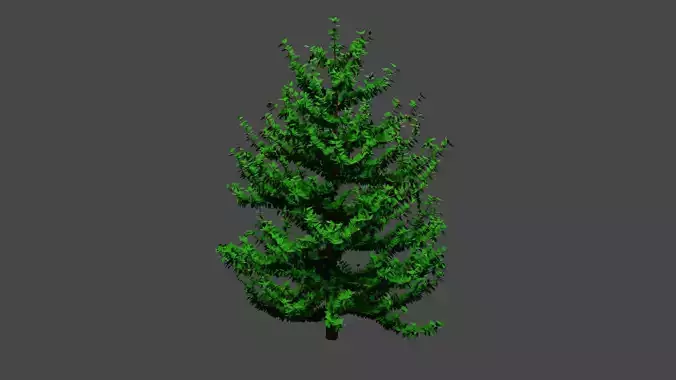 3D Tree