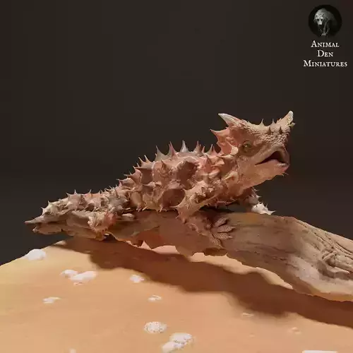 Thorny Devil on a Branch