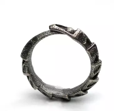 Carapace Ring 3D print model