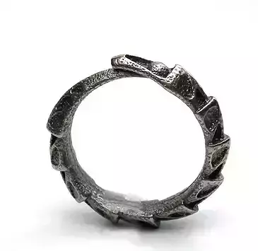 Carapace Ring