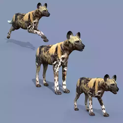 Ultimate Wild Dog 8K - 3d animated model 3D model
