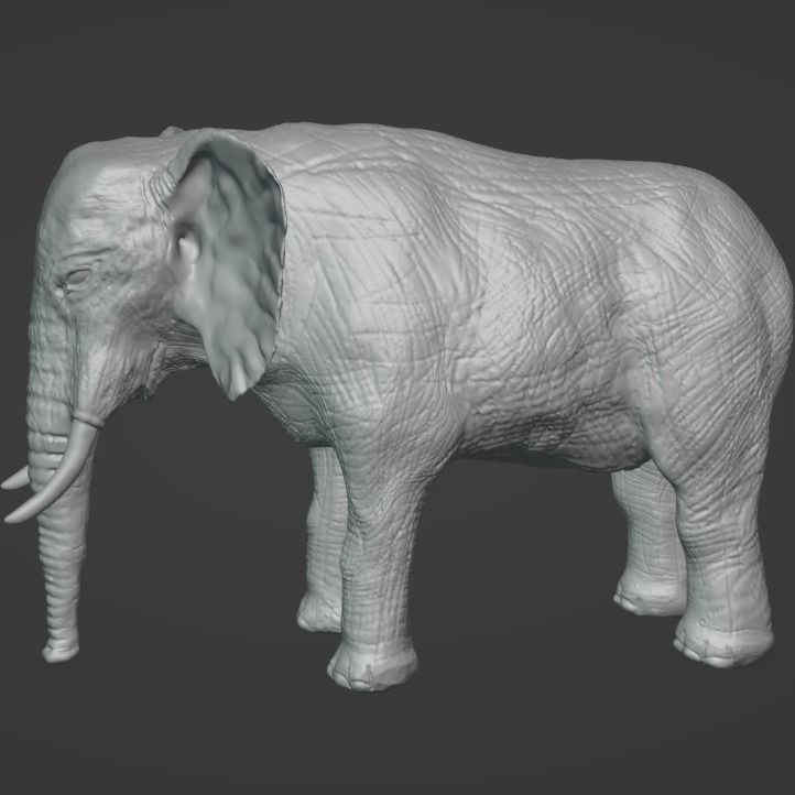 Elephant Model with Blender 3D model_2