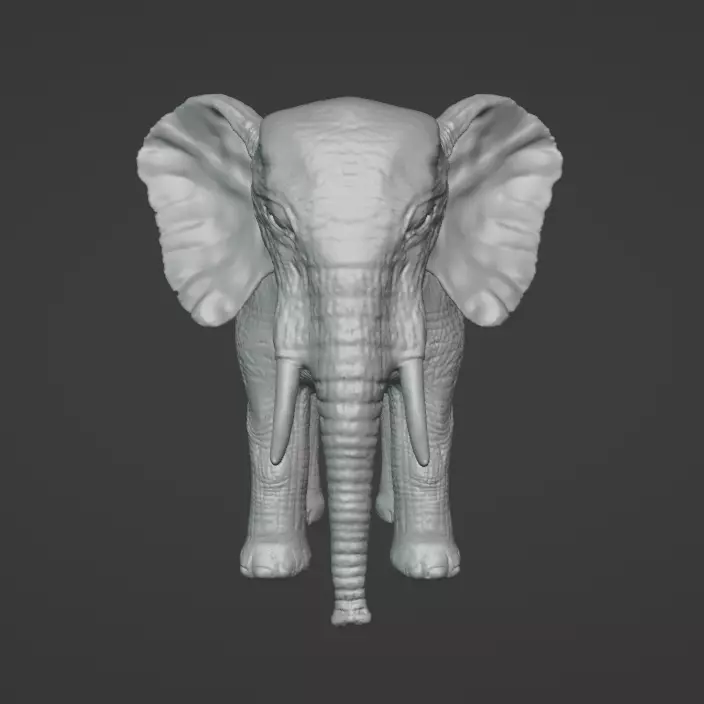 Elephant Model with Blender 3D model_0