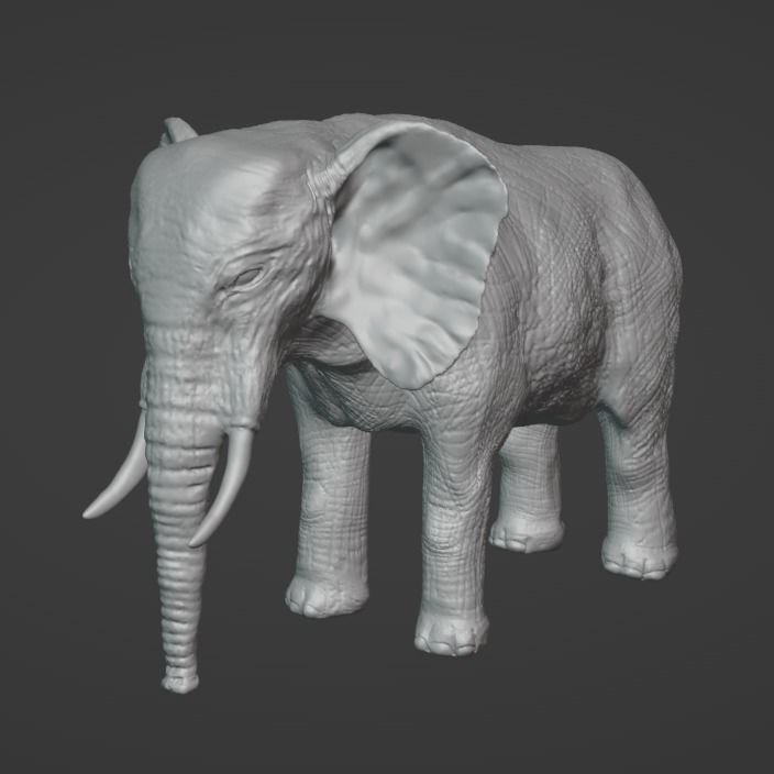 Elephant Model with Blender 3D model_1
