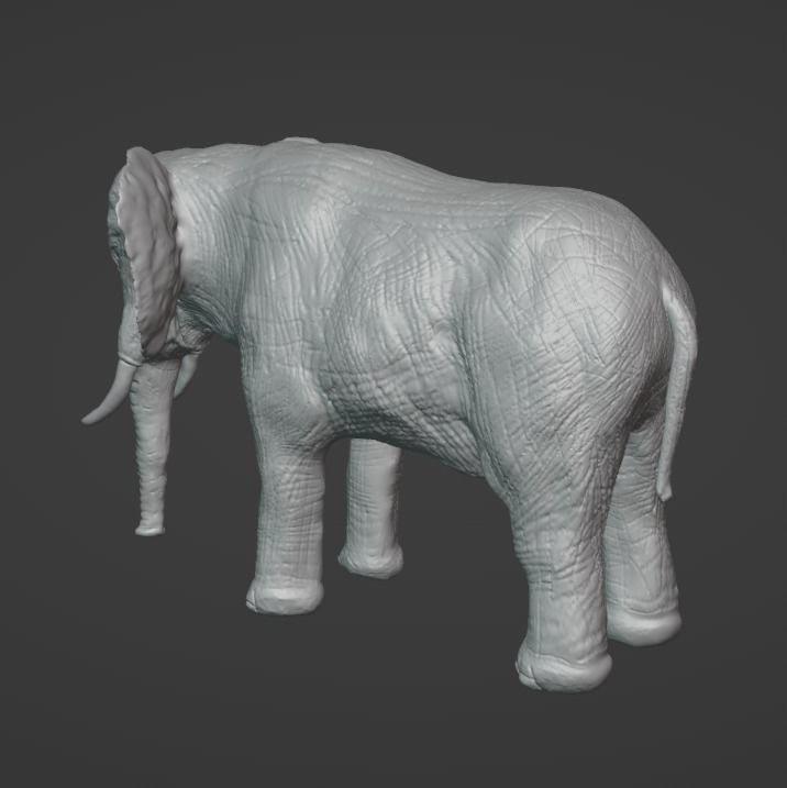 Elephant Model with Blender 3D model_3