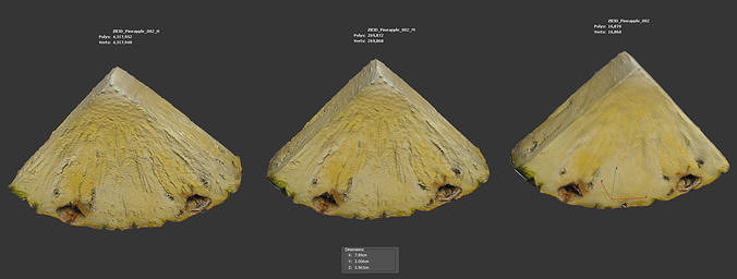 Pineapple 3D model 6