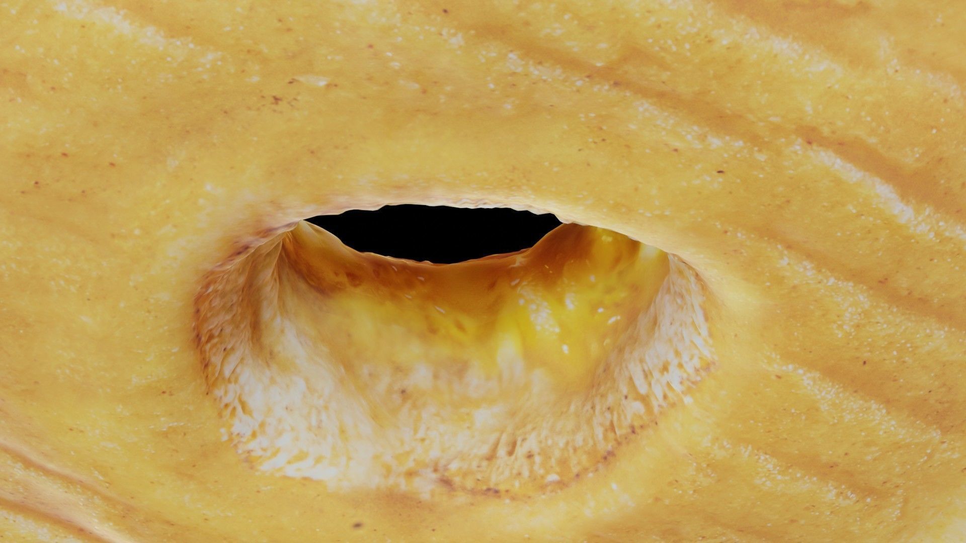 Scanned Donuts 5 flavors 1 high and 2 lowpoly versions Low-poly 3D model_2