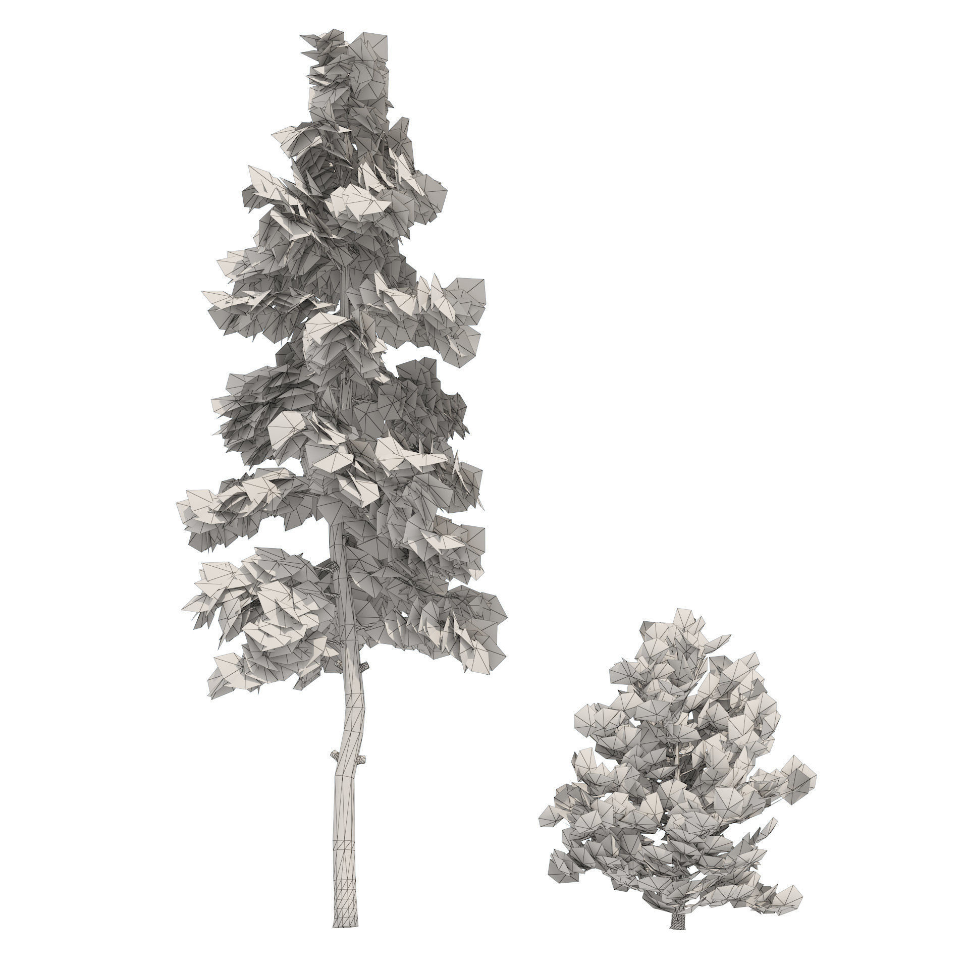 Evergreen conifer forest trees Low-poly 3D model_5