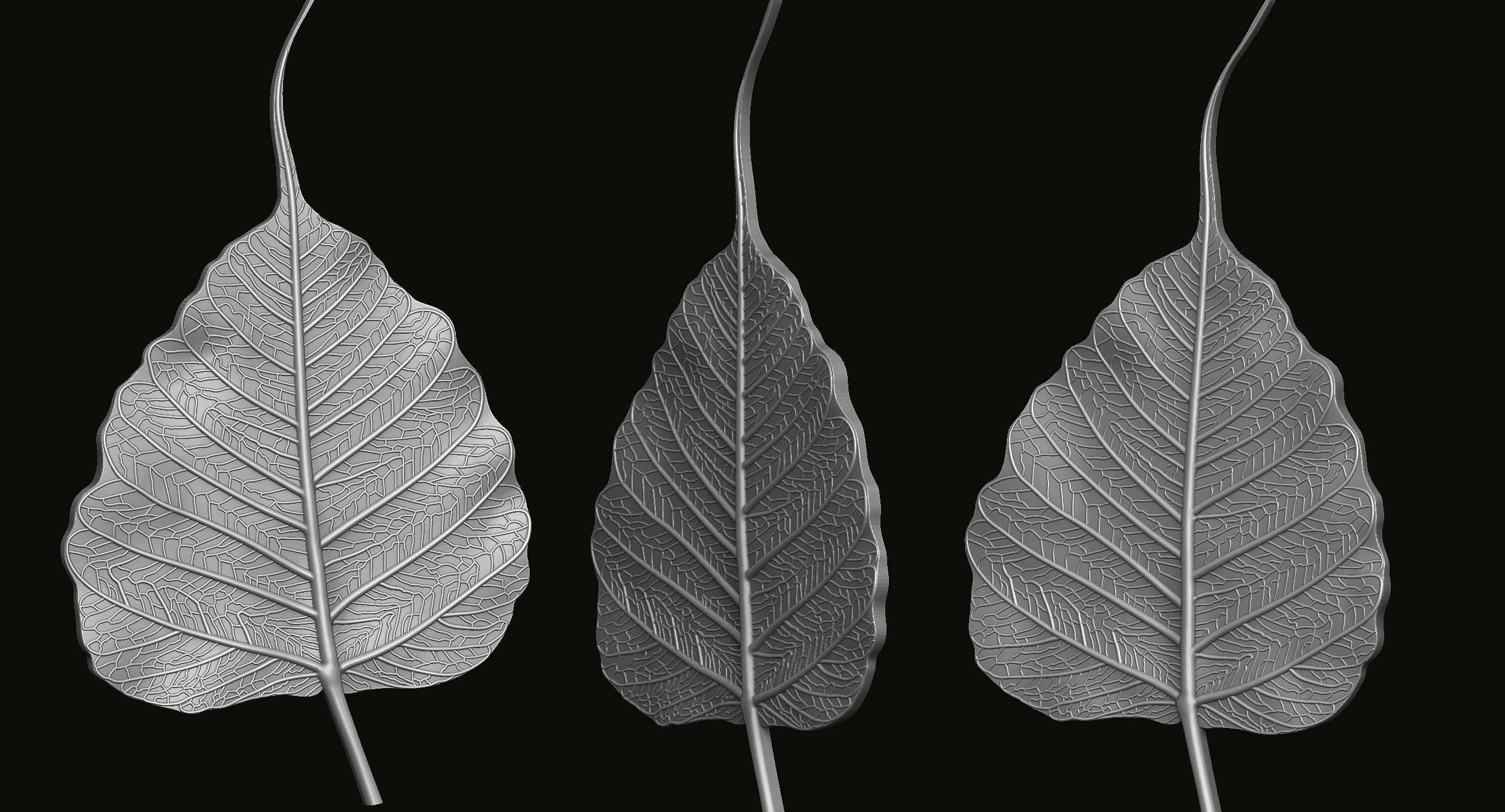 Bodhi leaf Relief 3D print model_3