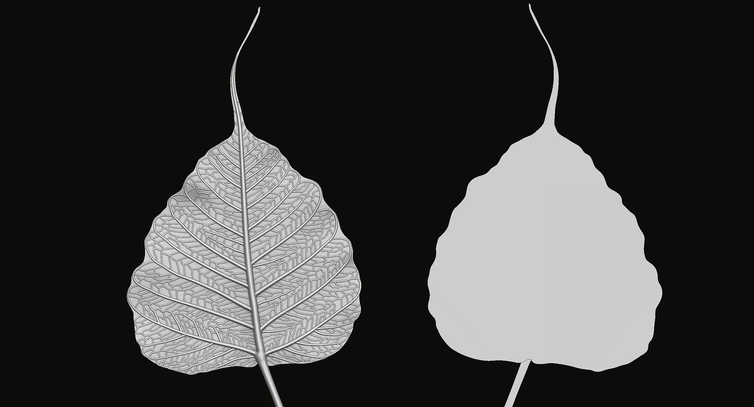 Bodhi leaf Relief 3D print model_4