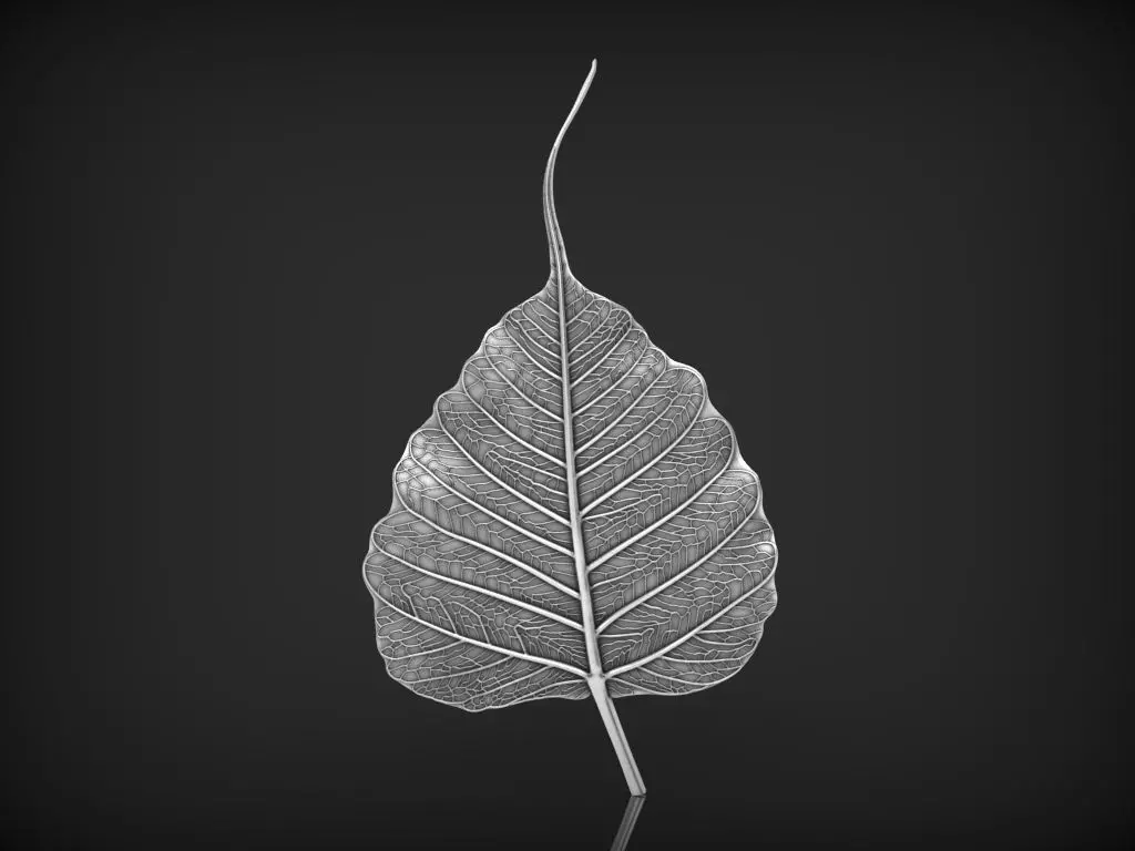 Bodhi leaf Relief 3D print model_0