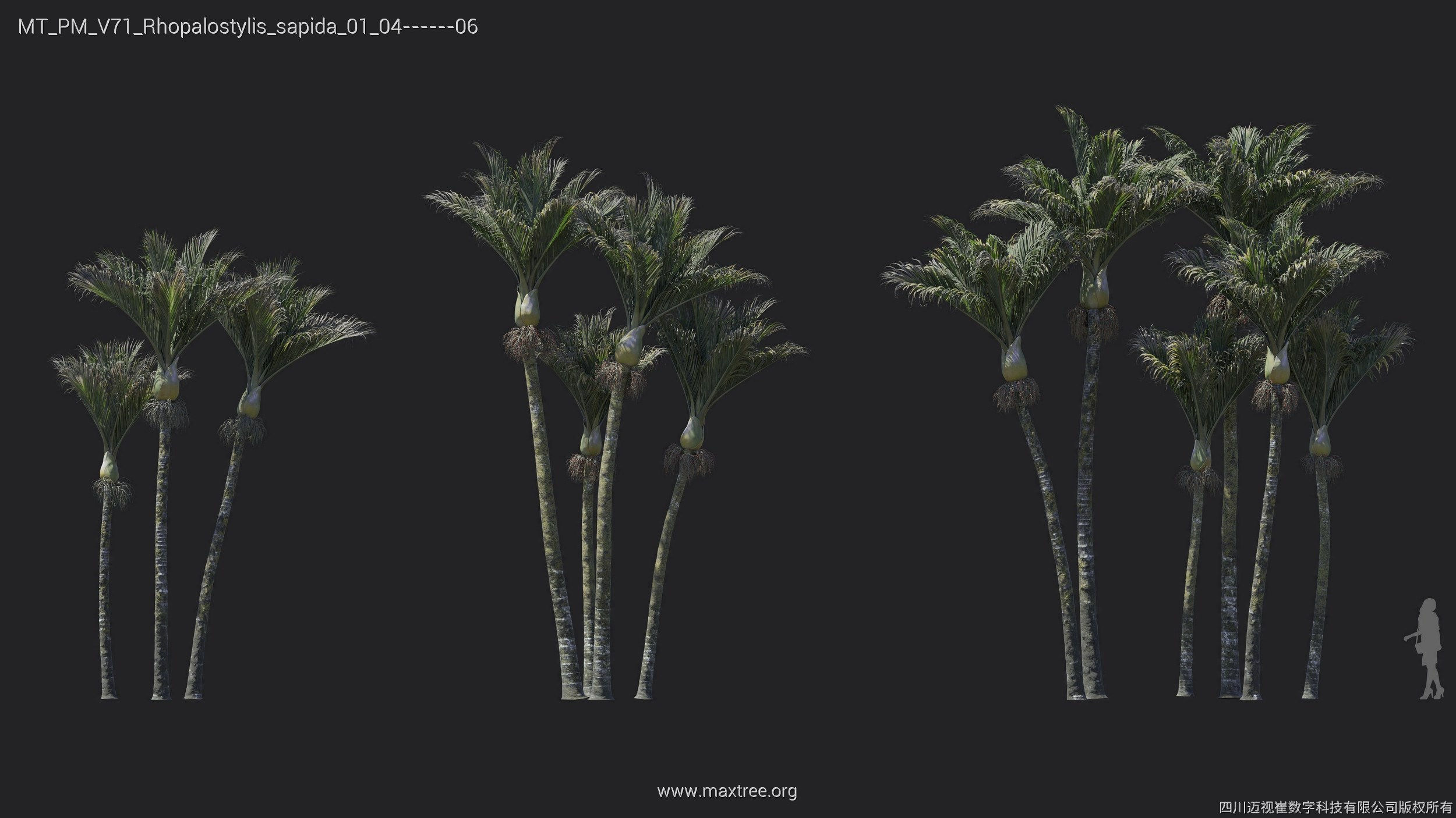 Maxtree Plant Models Vol 71 - Mesh 3D model_8