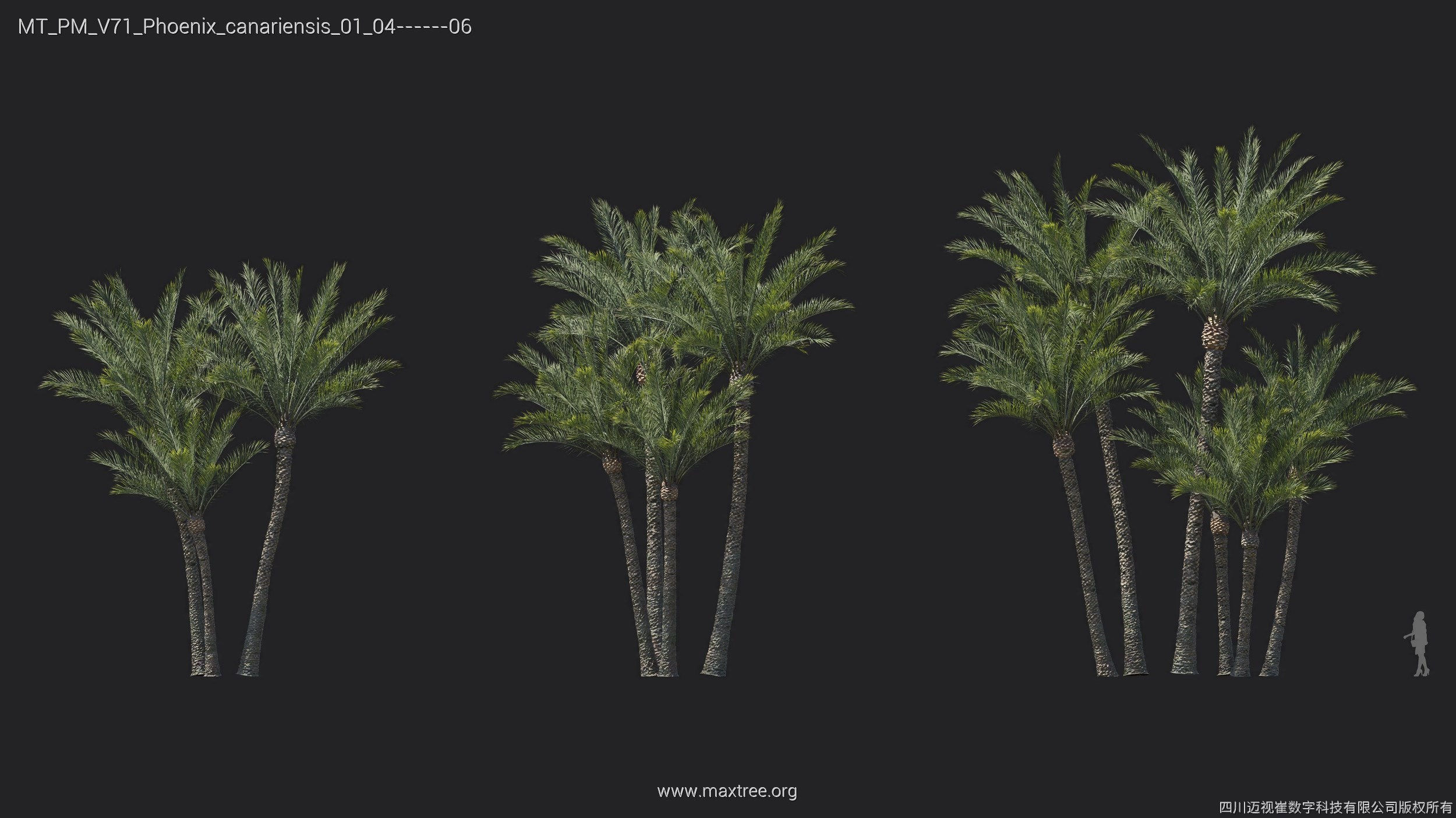 Maxtree Plant Models Vol 71 - Mesh 3D model_27